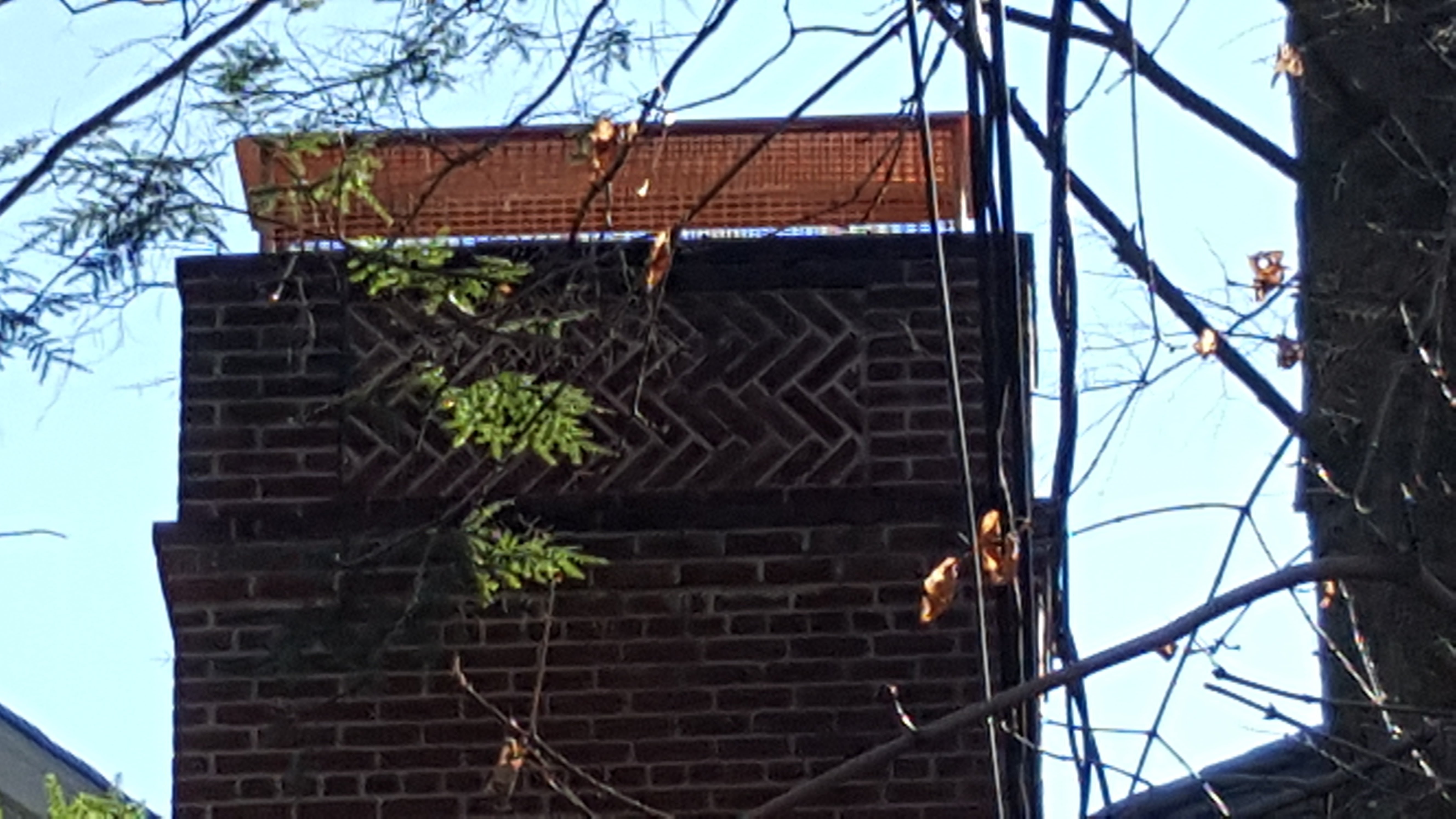 Animal-proof chimney cap protecting home in Hicksville, New York
